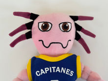 Cargar imagen en el visor de la galería, Peluche Juanjo
