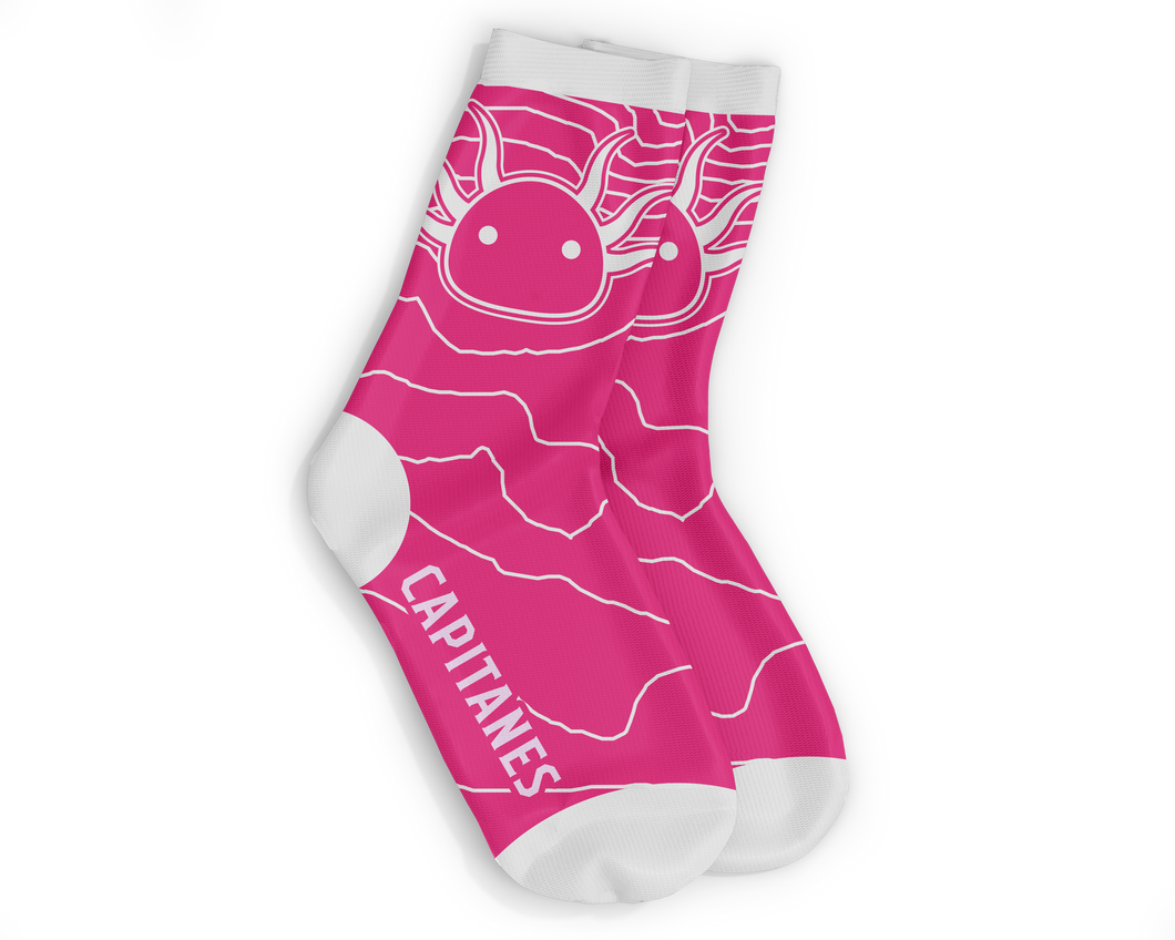 Calcetines líneas Rosas